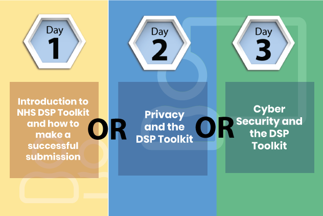 NHS DSP toolkit consultancy