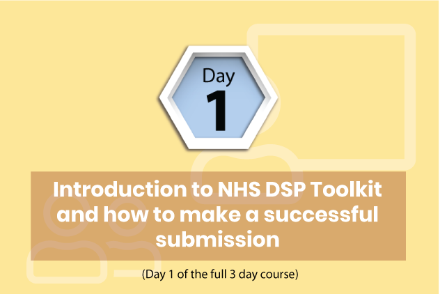 dspt toolkit training